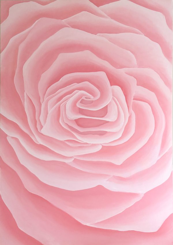 Pink Rose