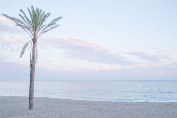Tranquila