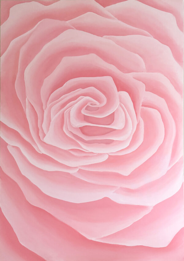 Pink Rose