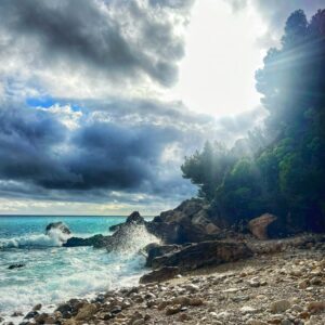 Resilience of Light