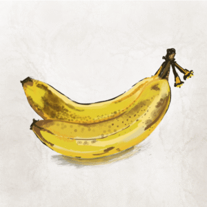 Series Title: Food for Thought Inspired by quotes from Japanese novelist Haruki Murakami. — Death, a Part of Life (Banana) — A Whole Hole (Doughnut) — Drink My Words (Whiskey) — A Slice of Analysis (Watermelon)