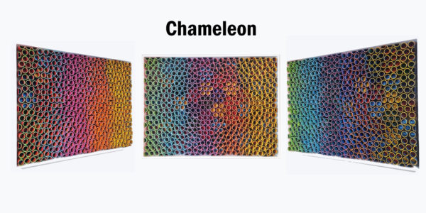 Chameleon